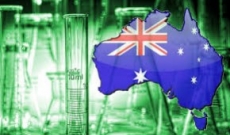 Did You Know - Australia is Home to World’s Strongest Pot with 40% THC!